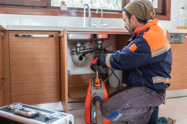  Bellevue, MI Plumbing Pros