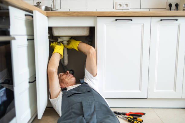 Trusted Bellevue, MI Plumbing Experts