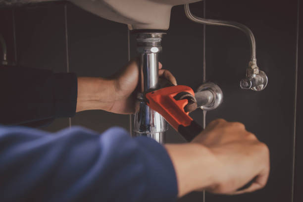 Best Plumbing Inspection Services  in Bellevue, MI