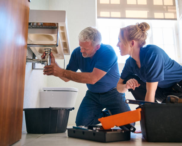 Best Plumbing Services Near Me  in Bellevue, MI