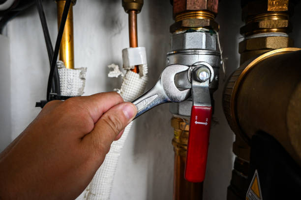 Best Residential Plumbing Services  in Bellevue, MI